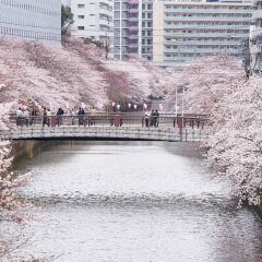 Отель Meguro Gajoen Токио приотельная территория фото 2