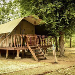 Отель Camp Leopard - Yala Safari Glamping фото 5