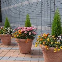Asakusa Central Hotel фото 3
