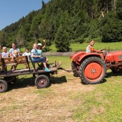 Отель Alphotel Tyrol Рачинес-Ратскингс детские мероприятия фото 2