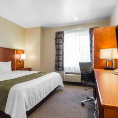 Quality Inn San Jose Airport/Silicon Valley in San Jose, United States of America from 132$, photos, reviews - zenhotels.com guestroom