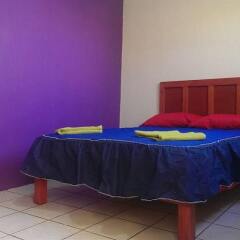 Blue Pepper Hostel Downtown Гвадалахара комната для гостей фото 5