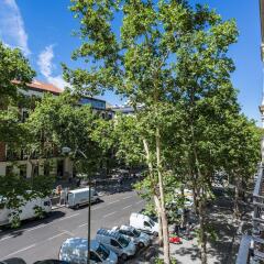Отель Petit Palace Lealtad Plaza фото 5
