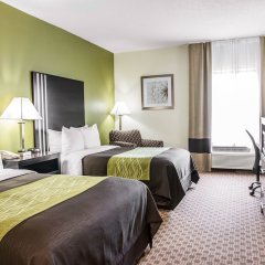 Comfort Inn East in Indianapolis, United States of America from 129$, photos, reviews - zenhotels.com guestroom photo 5