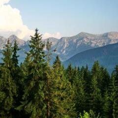 Отель Apartamenty Widokowy Tatry Zakopane Косцелиско