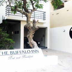 Отель Buffalo Inn Вьетнам, Вунгтау - отзывы, цены и фото номеров - забронировать отель Buffalo Inn онлайн