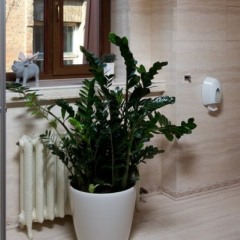 Гостиница HOTEL19 ванная