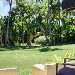 Отель The Westin Denarau Island Resort & Spa, Fiji Фиджи, Вити-Леву - отзывы, цены и фото номеров - забронировать отель The Westin Denarau Island Resort & Spa, Fiji онлайн фото 5