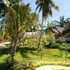 Отель Palm Paradise Resort фото 6