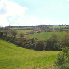 Отель Agriturismo Casale Il Gallo Bianco Озимо фото 5