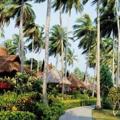Отель Phi Phi Island Village Beach Resort Таиланд, Краби - 2 отзыва об отеле, цены и фото номеров - забронировать отель Phi Phi Island Village Beach Resort онлайн фото 8