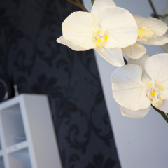 Отель Hostal Besaya ванная