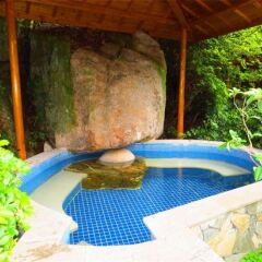Отель Dadongshan Tourist Resort бассейн