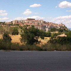 Отель Albergo Villa Canapini Кьянчиано Терме приотельная территория
