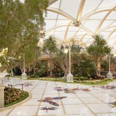 Отель Encore At Wynn Лас-Вегас фото 3