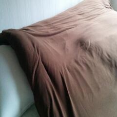 Anne Hostel Yokozuna Токио спа