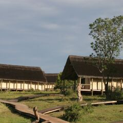 Отель Gorah Elephant Camp Южная Африка, Аддо - отзывы, цены и фото номеров - забронировать отель Gorah Elephant Camp онлайн фото 5