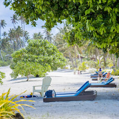 Отель Return to Paradise Resort and Spa Самоа, Уполу - отзывы, цены и фото номеров - забронировать отель Return to Paradise Resort and Spa онлайн пляж фото 2