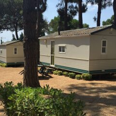 Отель Camping Victoria Испания, Канет-де-Мар - отзывы, цены и фото номеров - забронировать отель Camping Victoria онлайн парковка