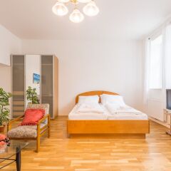 Отель Goldfisch Apartment am Augartenpark Австрия, Вена - отзывы, цены и фото номеров - забронировать отель Goldfisch Apartment am Augartenpark онлайн комната для гостей