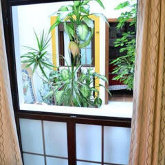 Отель Hostal Costa de la Luz Испания, Кониль-де-ла-Фронтера - отзывы, цены и фото номеров - забронировать отель Hostal Costa de la Luz онлайн комната для гостей фото 5