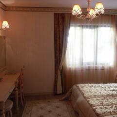 Albatros Premier Hotel Турция, Стамбул - 10 отзывов об отеле, цены и фото номеров - забронировать отель Albatros Premier Hotel онлайн комната для гостей фото 6
