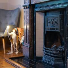 Отель Great1 bed Near Greenwich for 4 Guests! с домашними животными