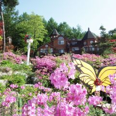 Отель KOREA QUALITY Elf Spa Resort Hotel Южная Корея, Пхёнчан - отзывы, цены и фото номеров - забронировать отель KOREA QUALITY Elf Spa Resort Hotel онлайн фото 13