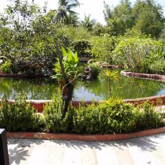 Отель Cowboy Farm Resort Pattaya