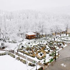 Отель Vilesh Palace Hotel Азербайджан, Масаллы - отзывы, цены и фото номеров - забронировать отель Vilesh Palace Hotel онлайн спортивное сооружение