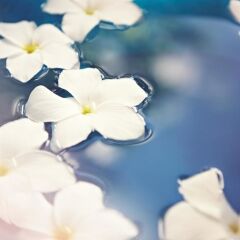 Отель Raffles Singapore фото 10