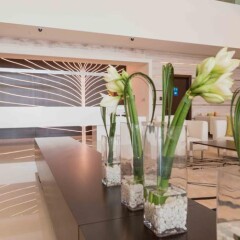 Отель Novotel Dubai Al Barsha фото 4