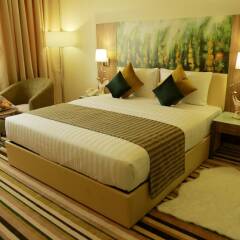 Royal View Hotel комната для гостей фото 4
