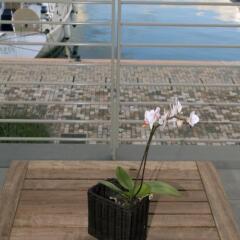 Отель Marina Place Resort Генуя в номере