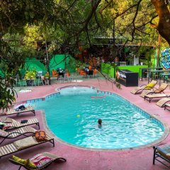 Livingstone Backpackers in Livingstone, Zambia from 1602$, photos, reviews - zenhotels.com pool photo 2