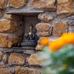 Отель Shambaling Boutique Hotel Непал, Катманду - отзывы, цены и фото номеров - забронировать отель Shambaling Boutique Hotel онлайн фото 4