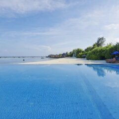 Отель Olhuveli Beach And Spa Resort с домашними животными