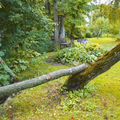 Гостиница Villa Vvedene в Ярославле отзывы, цены и фото номеров - забронировать гостиницу Villa Vvedene онлайн Ярославль фото 3