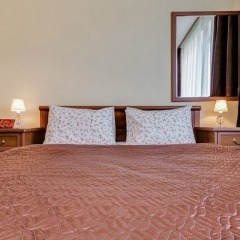 Апартаменты Ludwig Apartments Bolshaya Puskarskaya комната для гостей фото 4