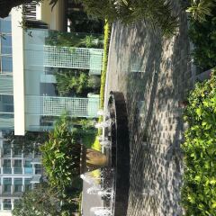Отель Frank's Condo at Riviera Wongamat Паттайя с домашними животными
