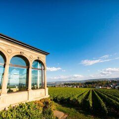 Отель Romantik Burghotel Schwarzenstein Гайзенхайм фото 3