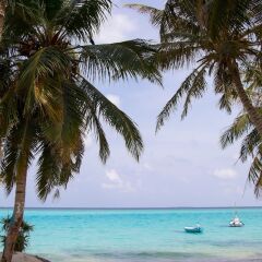 Отель Fanhaa Maldives Мальдивы, Ханимаду - отзывы, цены и фото номеров - забронировать отель Fanhaa Maldives онлайн пляж