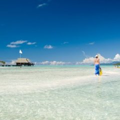Vahine Island Resort in Opoa, French Polynesia from 1046$, photos, reviews - zenhotels.com photo 3