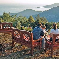 Отель Montana Pine Resort - All Inclusive фото 5
