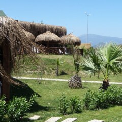 Отель Flora Garden Beach Club - Adults Only фото 5