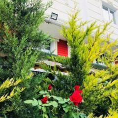 Bolu Otel Турция, Болу - отзывы, цены и фото номеров - забронировать отель Bolu Otel онлайн фото 11