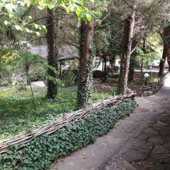 Отель Nimpha Bungalows Варна фото 8