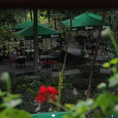 Отель Restaurant Dreri Албания, Тирана - отзывы, цены и фото номеров - забронировать отель Restaurant Dreri онлайн фото 12
