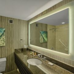 Отель DoubleTree by Hilton at the Entrance to Universal Orlando ванная