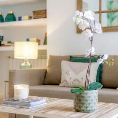 Отель Apartamento Catedral de la Almudena III развлечения